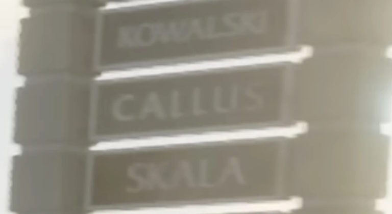 Три таблички с фамилиями KOWALSKI, CALLUS и SKALA размещены вертикально на стене, свет падает справа.